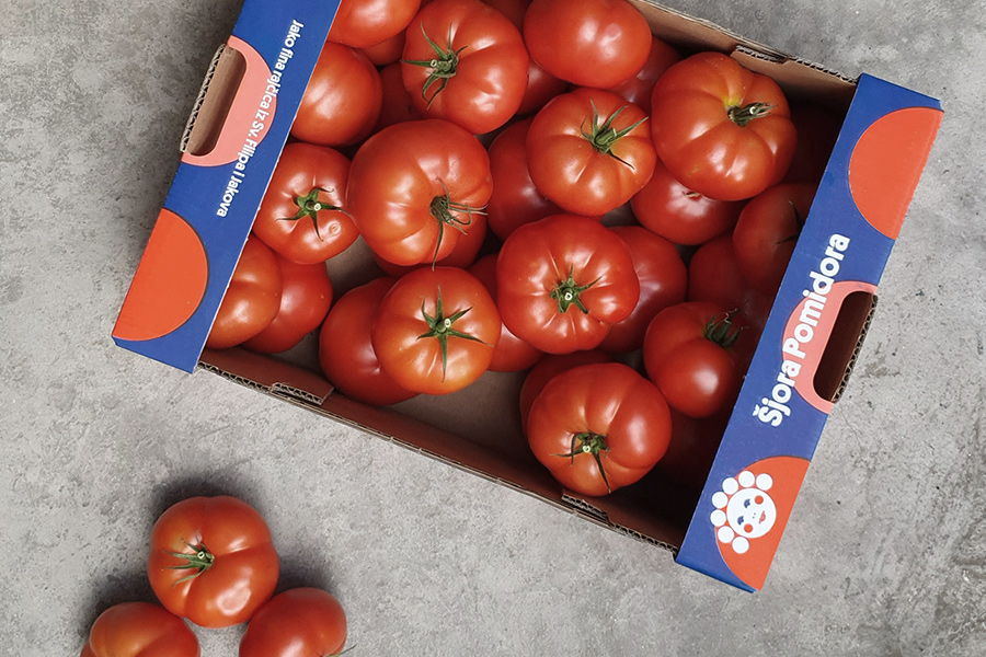 Šjora Pomidora rajčica, slatka je, ukusna i sočna – kupite je kod nas
