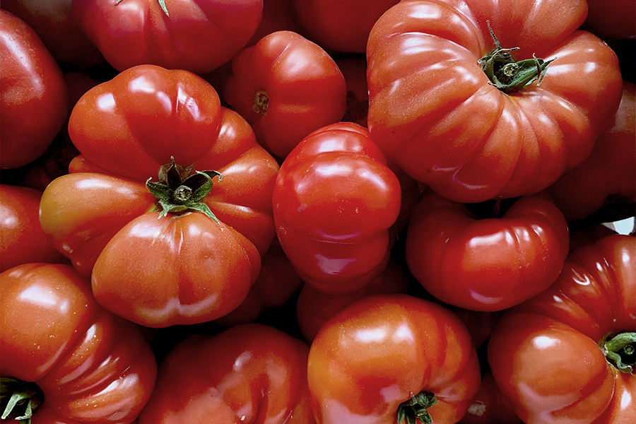 Šjora Pomidora – hrvatska rajčica iz Sv. Filipa i Jakova – naručite je